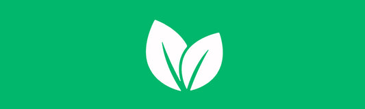 Conheça as principais diferenças entre vegano e vegetariano